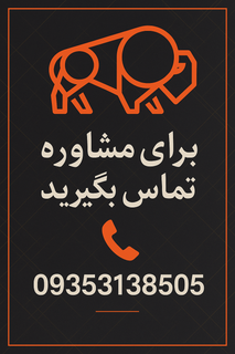 مجموعه دکمه سوزن نخ صورتی